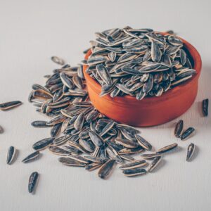 Stripe sunflower Seed