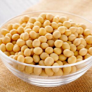 Soybean